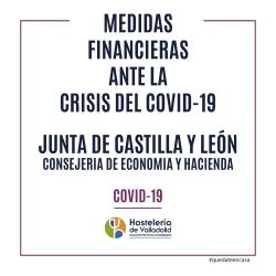 MEDIDAS FINANCIERA JUNTA DE CASTILLA Y LEÓN web